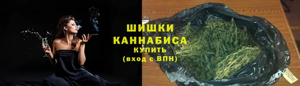 амф Арсеньев