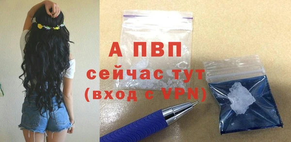 амф Арсеньев