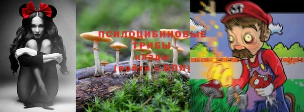 гашишное масло Аркадак