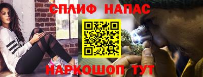 прущие грибы Чебоксары
