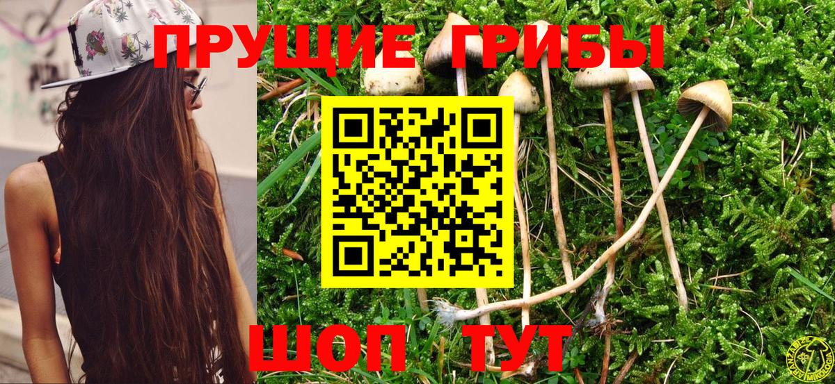 Нурлат  Галлюциногенные грибы MAGIC MUSHROOMS  Вход с VPN 